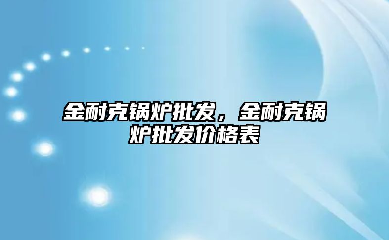 金耐克鍋爐批發(fā)，金耐克鍋爐批發(fā)價格表