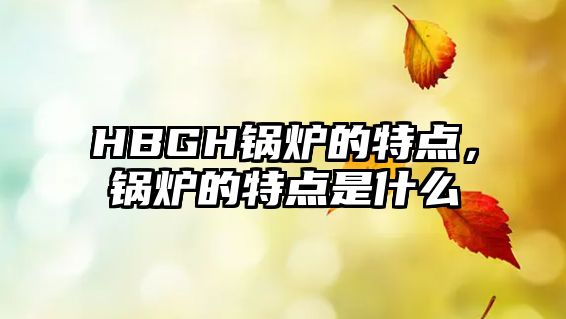 HBGH鍋爐的特點(diǎn)，鍋爐的特點(diǎn)是什么