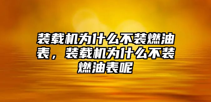 裝載機(jī)為什么不裝燃油表，裝載機(jī)為什么不裝燃油表呢