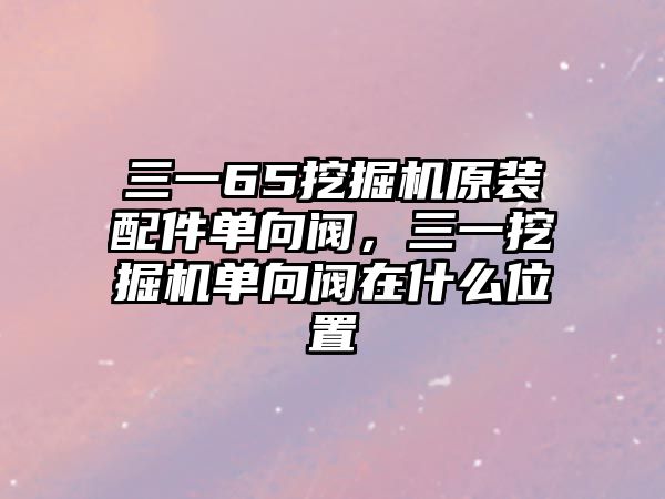 三一65挖掘機(jī)原裝配件單向閥，三一挖掘機(jī)單向閥在什么位置