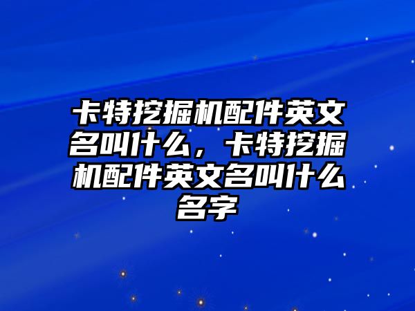 卡特挖掘機(jī)配件英文名叫什么，卡特挖掘機(jī)配件英文名叫什么名字