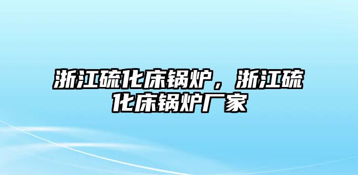 浙江硫化床鍋爐，浙江硫化床鍋爐廠家