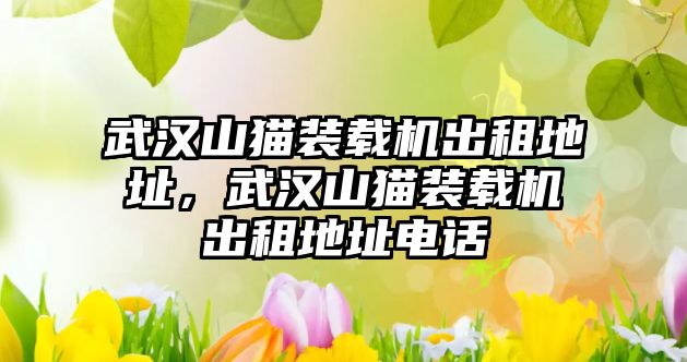 武漢山貓裝載機(jī)出租地址，武漢山貓裝載機(jī)出租地址電話