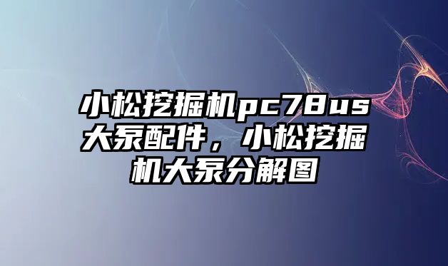 小松挖掘機pc78us大泵配件，小松挖掘機大泵分解圖