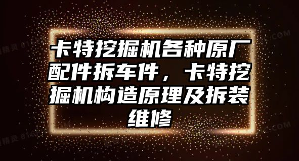 卡特挖掘機(jī)各種原廠配件拆車件，卡特挖掘機(jī)構(gòu)造原理及拆裝維修