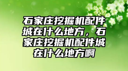 石家莊挖掘機(jī)配件城在什么地方，石家莊挖掘機(jī)配件城在什么地方啊