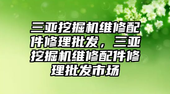 三亞挖掘機(jī)維修配件修理批發(fā)，三亞挖掘機(jī)維修配件修理批發(fā)市場