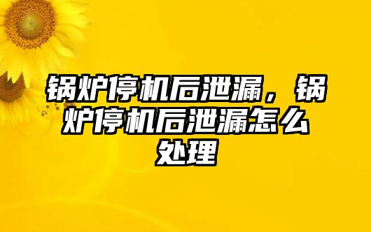 鍋爐停機(jī)后泄漏，鍋爐停機(jī)后泄漏怎么處理