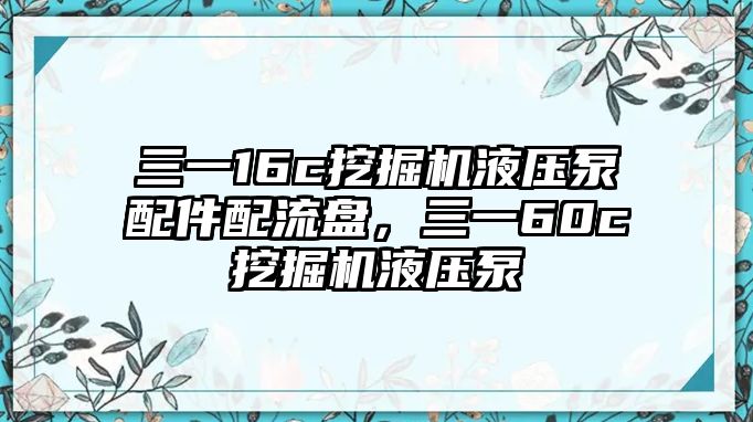 三一16c挖掘機(jī)液壓泵配件配流盤，三一60c挖掘機(jī)液壓泵