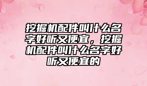 挖掘機配件叫什么名字好聽又便宜，挖掘機配件叫什么名字好聽又便宜的