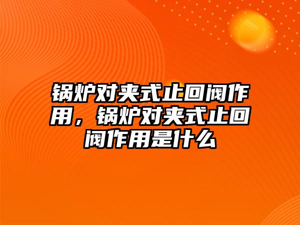 鍋爐對夾式止回閥作用，鍋爐對夾式止回閥作用是什么