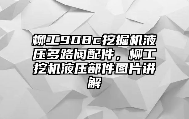 柳工908c挖掘機(jī)液壓多路閥配件，柳工挖機(jī)液壓部件圖片講解