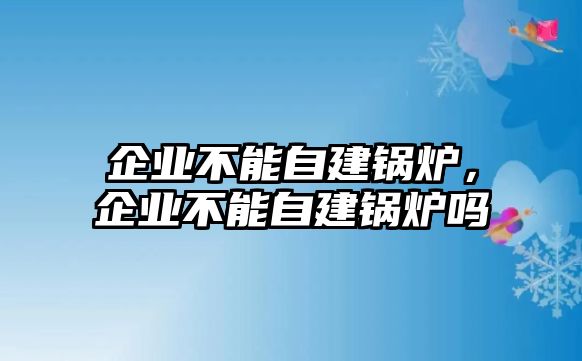 企業(yè)不能自建鍋爐，企業(yè)不能自建鍋爐嗎