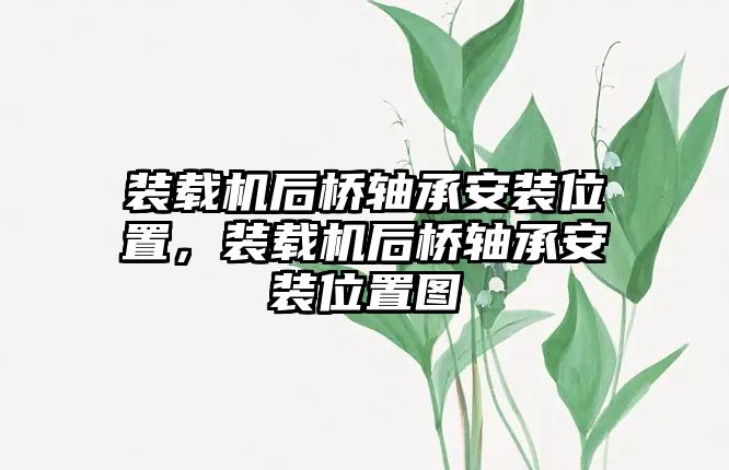 裝載機后橋軸承安裝位置，裝載機后橋軸承安裝位置圖