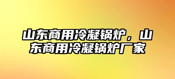 山東商用冷凝鍋爐，山東商用冷凝鍋爐廠家