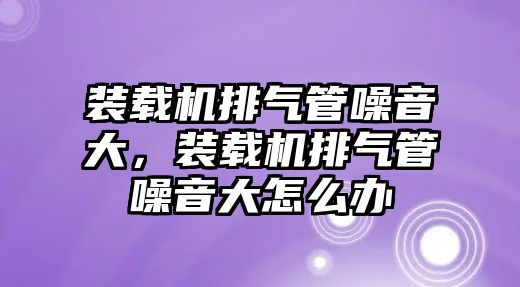 裝載機排氣管噪音大，裝載機排氣管噪音大怎么辦