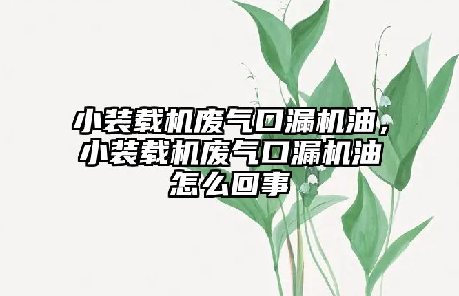 小裝載機廢氣口漏機油，小裝載機廢氣口漏機油怎么回事