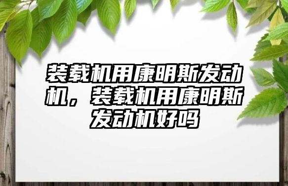 裝載機用康明斯發(fā)動機，裝載機用康明斯發(fā)動機好嗎