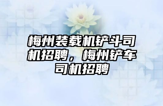 梅州裝載機鏟斗司機招聘，梅州鏟車司機招聘