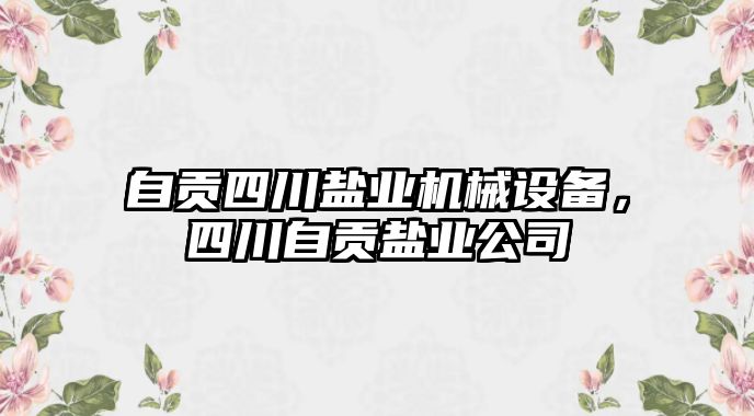 自貢四川鹽業(yè)機(jī)械設(shè)備，四川自貢鹽業(yè)公司