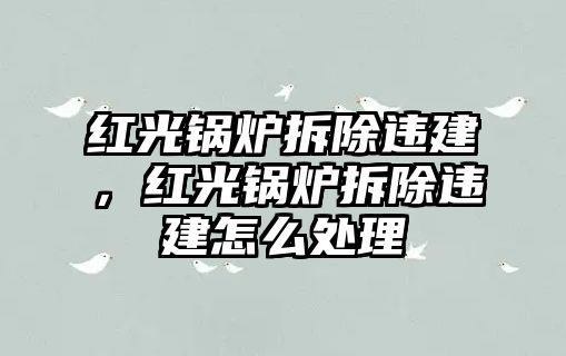 紅光鍋爐拆除違建，紅光鍋爐拆除違建怎么處理