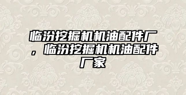 臨汾挖掘機機油配件廠，臨汾挖掘機機油配件廠家