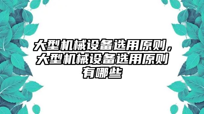 大型機(jī)械設(shè)備選用原則，大型機(jī)械設(shè)備選用原則有哪些