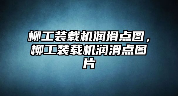 柳工裝載機潤滑點圖，柳工裝載機潤滑點圖片