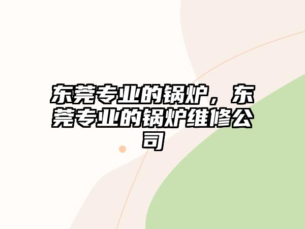 東莞專業(yè)的鍋爐，東莞專業(yè)的鍋爐維修公司