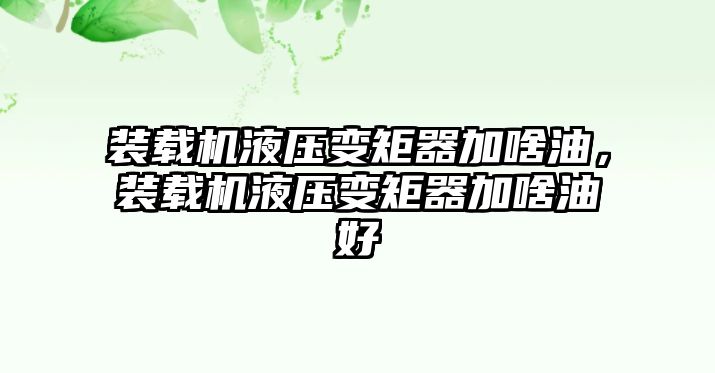 裝載機(jī)液壓變矩器加啥油，裝載機(jī)液壓變矩器加啥油好