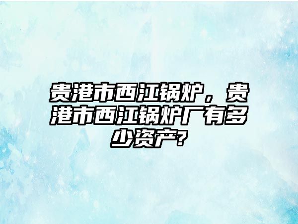 貴港市西江鍋爐，貴港市西江鍋爐廠有多少資產(chǎn)?