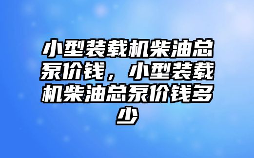 小型裝載機(jī)柴油總泵價(jià)錢，小型裝載機(jī)柴油總泵價(jià)錢多少