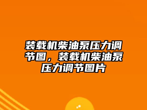 裝載機(jī)柴油泵壓力調(diào)節(jié)圖，裝載機(jī)柴油泵壓力調(diào)節(jié)圖片