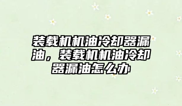 裝載機機油冷卻器漏油，裝載機機油冷卻器漏油怎么辦