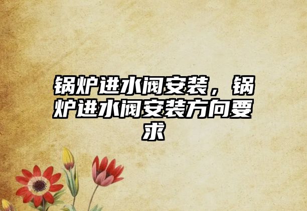 鍋爐進(jìn)水閥安裝，鍋爐進(jìn)水閥安裝方向要求