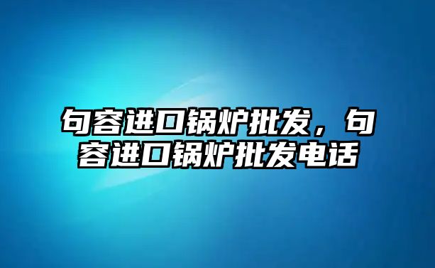 句容進(jìn)口鍋爐批發(fā)，句容進(jìn)口鍋爐批發(fā)電話