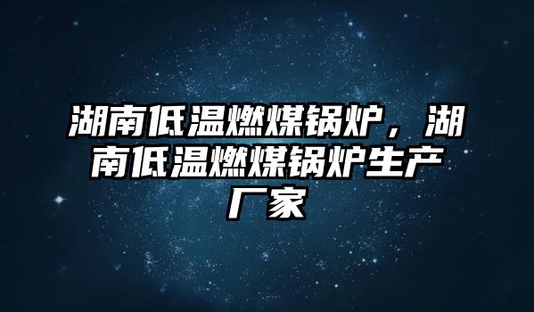 湖南低溫燃煤鍋爐，湖南低溫燃煤鍋爐生產(chǎn)廠家