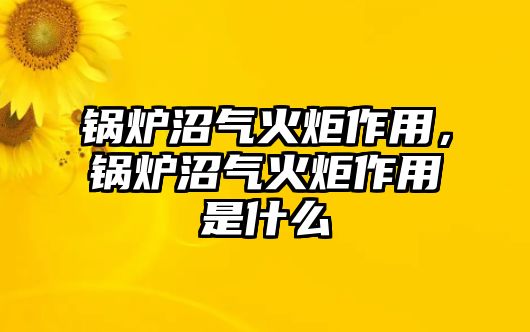 鍋爐沼氣火炬作用，鍋爐沼氣火炬作用是什么