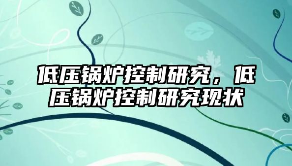 低壓鍋爐控制研究，低壓鍋爐控制研究現(xiàn)狀