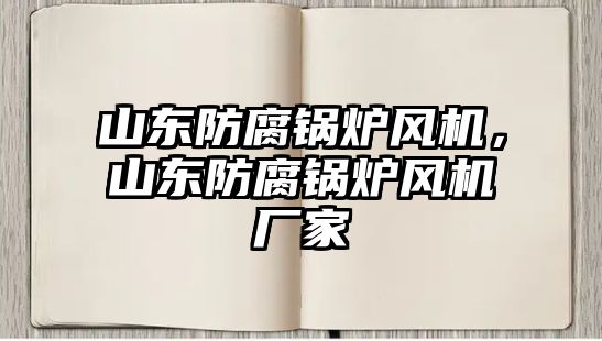 山東防腐鍋爐風機，山東防腐鍋爐風機廠家